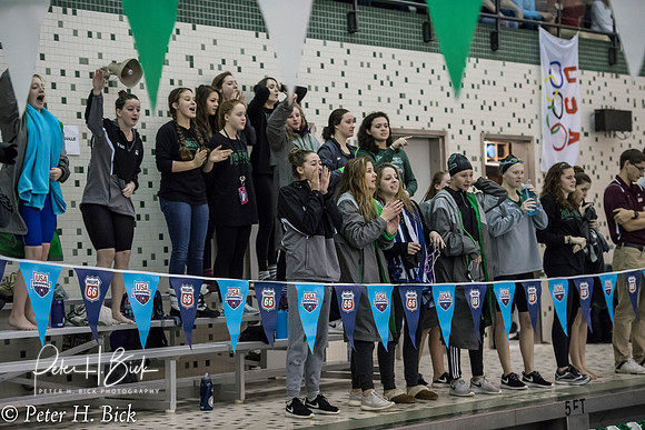 Zionsville Swimming 2017-18 0881