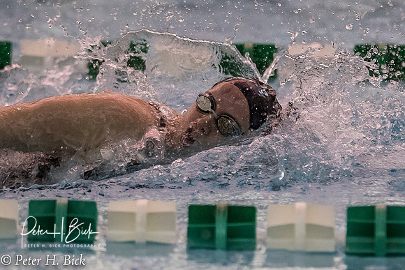 Zionsville Swimming 2017-18 1151