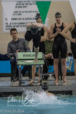 Zionsville Swimming 2017-18 1302