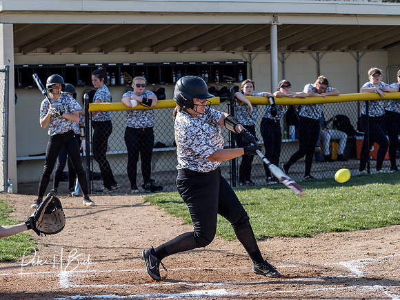 Lapel Softball 2019 0380