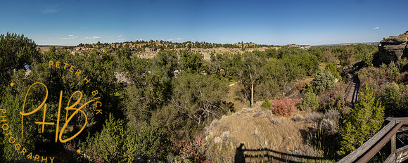 Yellowstone Trip 9-2023 0026-Edit-Edit