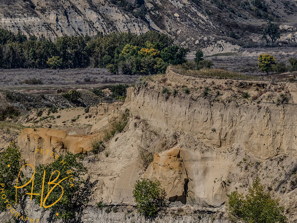 Yellowstone Trip 9-2023 0139-Edit-Edit