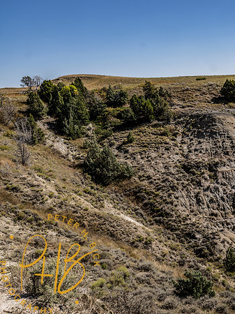 Yellowstone Trip 9-2023 0198-Edit-Edit
