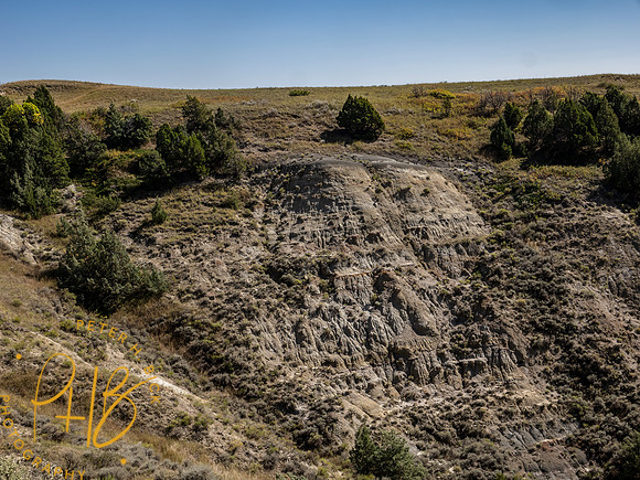 Yellowstone Trip 9-2023 0215-Edit