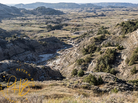 Yellowstone Trip 9-2023 0386-Edit