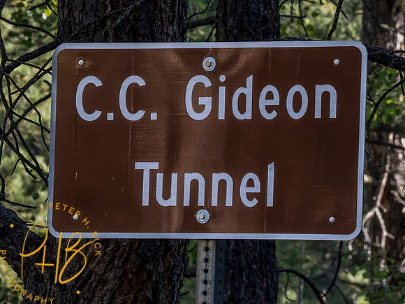 Yellowstone Trip 9-2023 0538-Edit