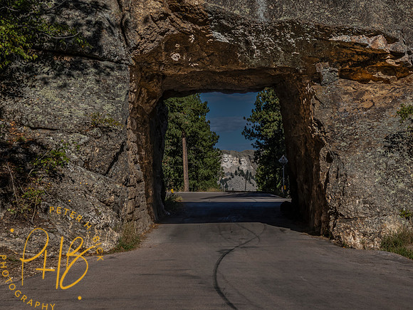 Yellowstone Trip 9-2023 0542-Edit
