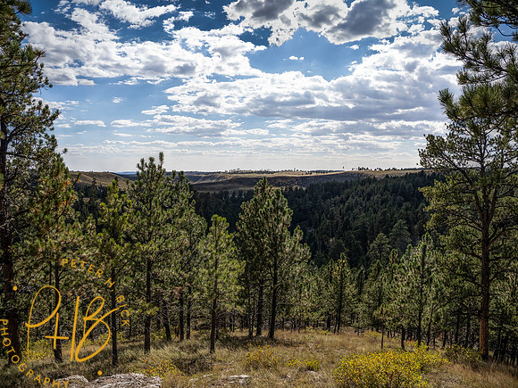 Yellowstone Trip 9-2023 0634-Edit