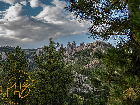 Yellowstone Trip 9-2023 0682-Edit