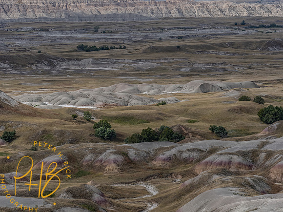 Yellowstone Trip 9-2023 0977-Edit