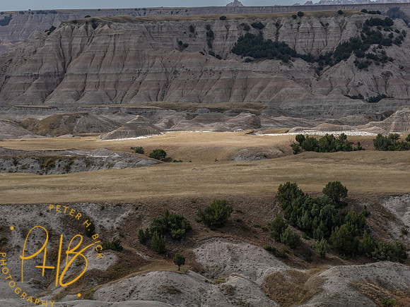 Yellowstone Trip 9-2023 0981-Edit