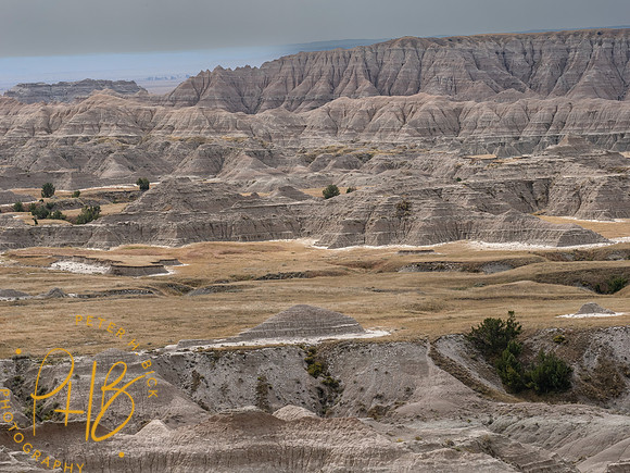 Yellowstone Trip 9-2023 0986-Edit