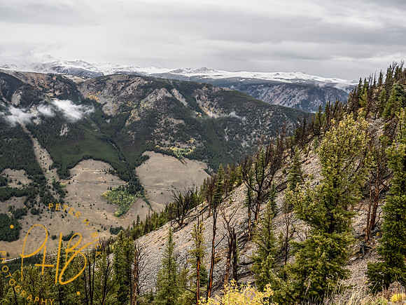 Yellowstone Trip 9-2023 1110-Edit