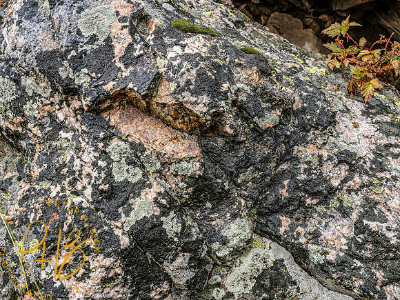 Yellowstone Trip 9-2023 1117-Edit