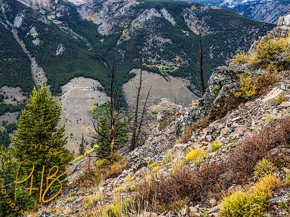 Yellowstone Trip 9-2023 1126-Edit