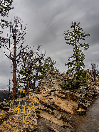Yellowstone Trip 9-2023 1157-Edit