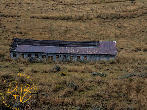 Yellowstone Trip 9-2023 1193-Edit