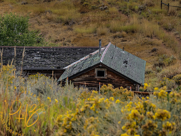 Yellowstone Trip 9-2023 1207-Edit