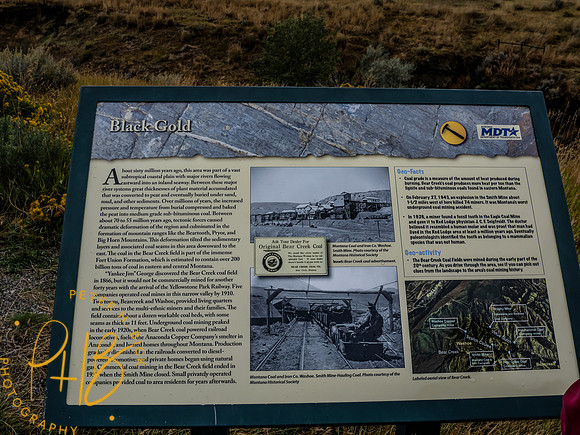Yellowstone Trip 9-2023 1212-Edit