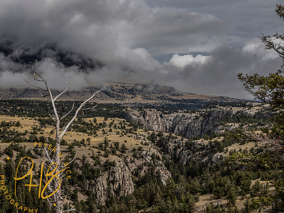 Yellowstone Trip 9-2023 1253-Edit