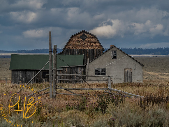 Yellowstone Trip 9-2023 1313-Edit