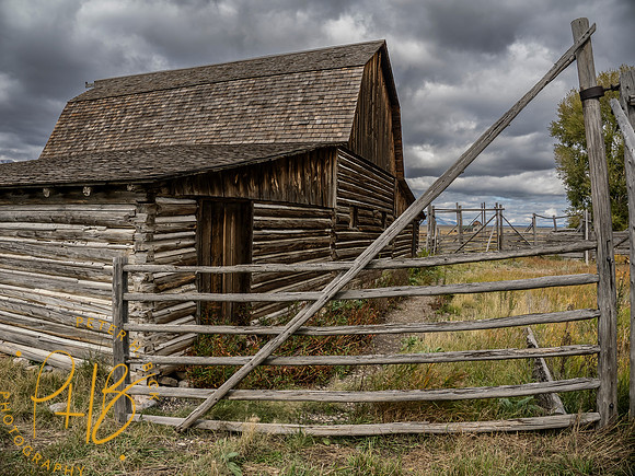 Yellowstone Trip 9-2023 1324-Edit