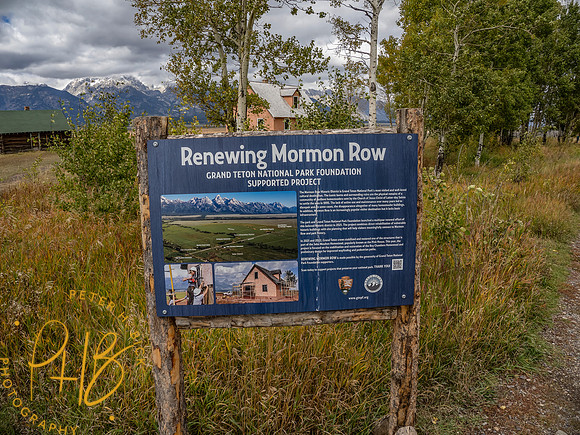Yellowstone Trip 9-2023 1338-Edit