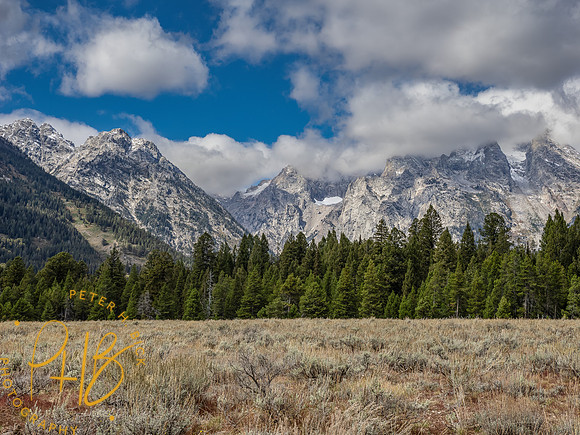 Yellowstone Trip 9-2023 1344-Edit
