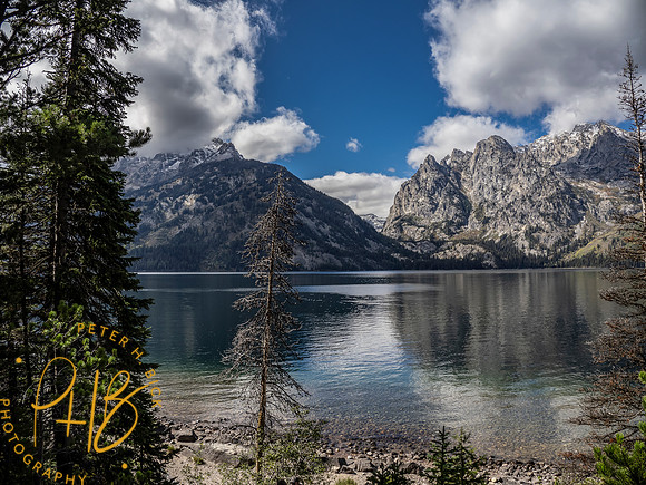 Yellowstone Trip 9-2023 1364-Edit