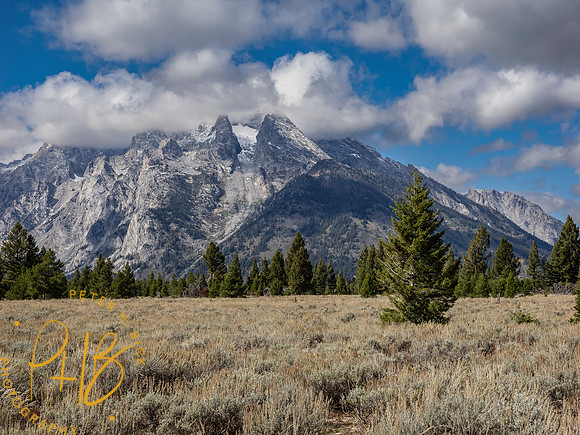 Yellowstone Trip 9-2023 1371-Edit
