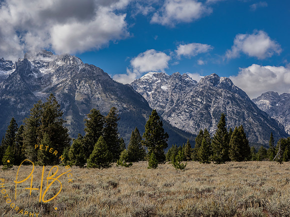Yellowstone Trip 9-2023 1375-Edit