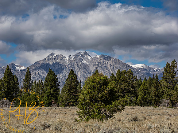 Yellowstone Trip 9-2023 1387-Edit