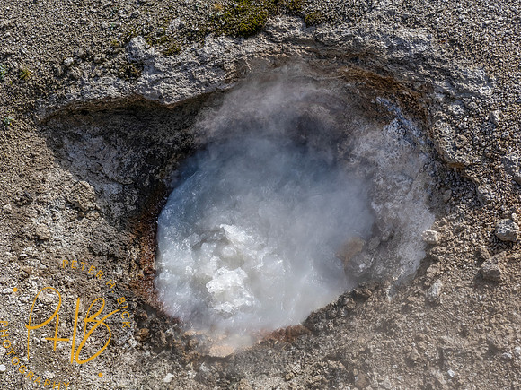 Yellowstone Trip 9-2023 1539-Edit