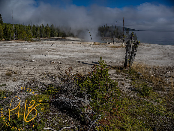 Yellowstone Trip 9-2023 1558-Edit