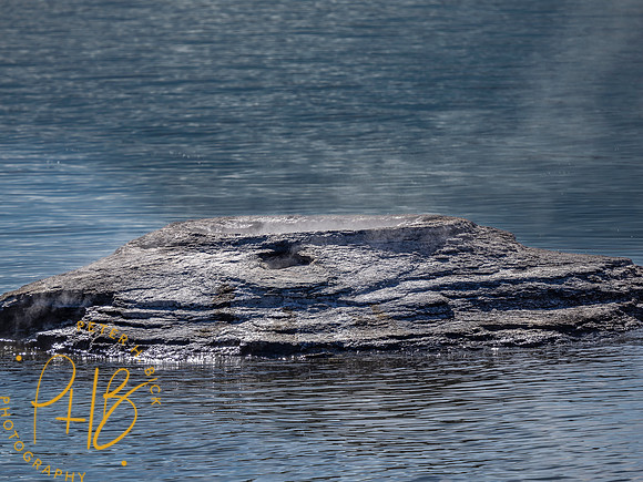 Yellowstone Trip 9-2023 1566-Edit