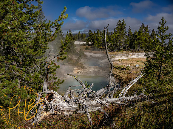 Yellowstone Trip 9-2023 1612-Edit