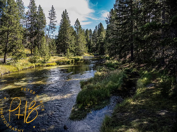 Yellowstone Trip 9-2023 1652-Edit