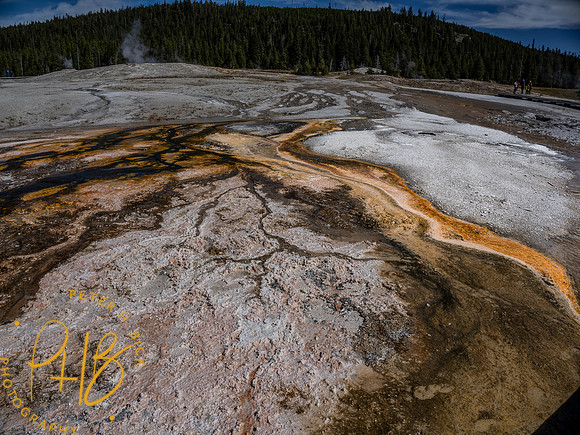 Yellowstone Trip 9-2023 1669-Edit