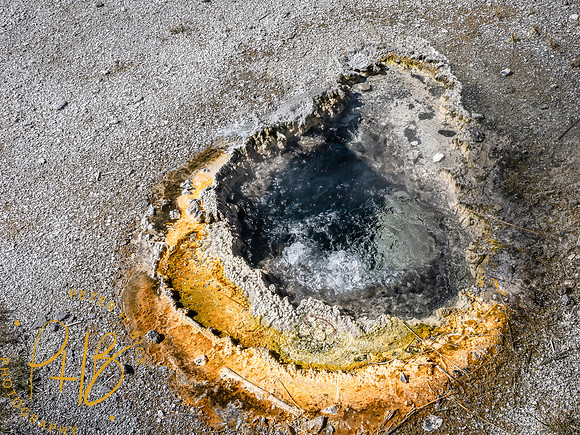 Yellowstone Trip 9-2023 1680-Edit