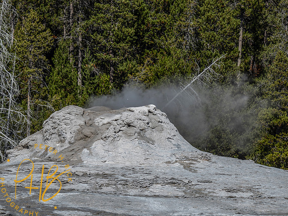 Yellowstone Trip 9-2023 1742-Edit