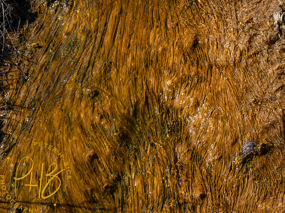 Yellowstone Trip 9-2023 2077-Edit