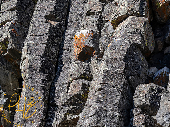 Yellowstone Trip 9-2023 2115-Edit