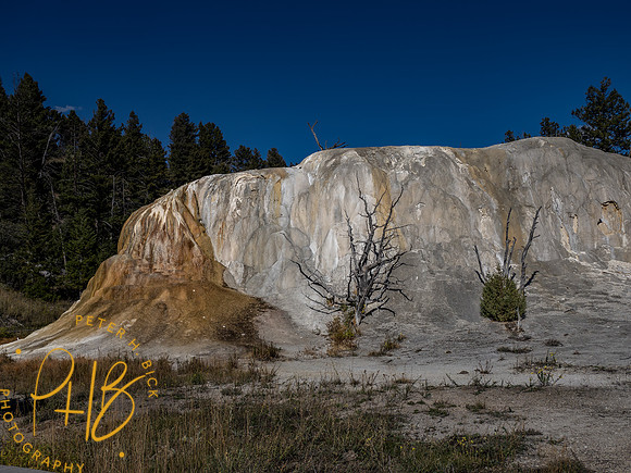 Yellowstone Trip 9-2023 2421-Edit