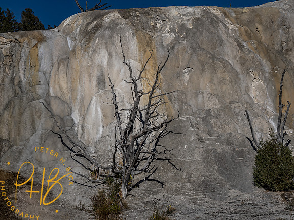 Yellowstone Trip 9-2023 2422-Edit