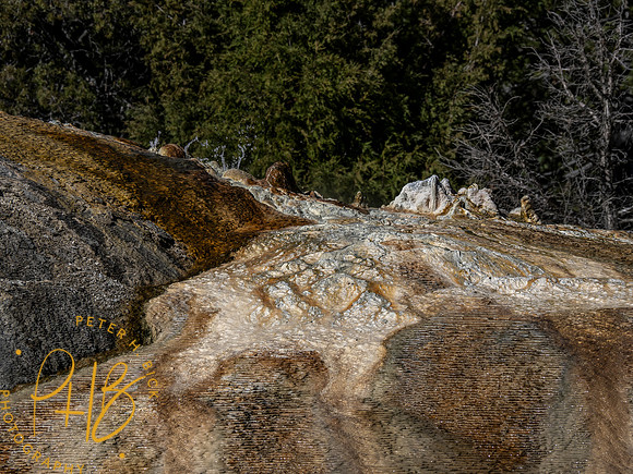 Yellowstone Trip 9-2023 2428-Edit