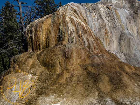 Yellowstone Trip 9-2023 2438-Edit