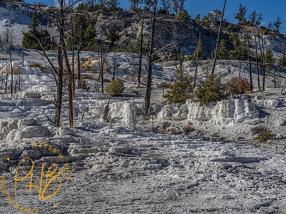 Yellowstone Trip 9-2023 2450-Edit