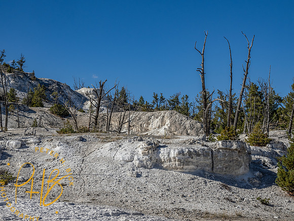 Yellowstone Trip 9-2023 2451-Edit