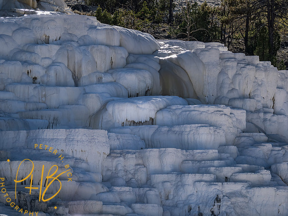 Yellowstone Trip 9-2023 2483-Edit
