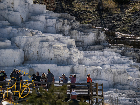 Yellowstone Trip 9-2023 2486-Edit